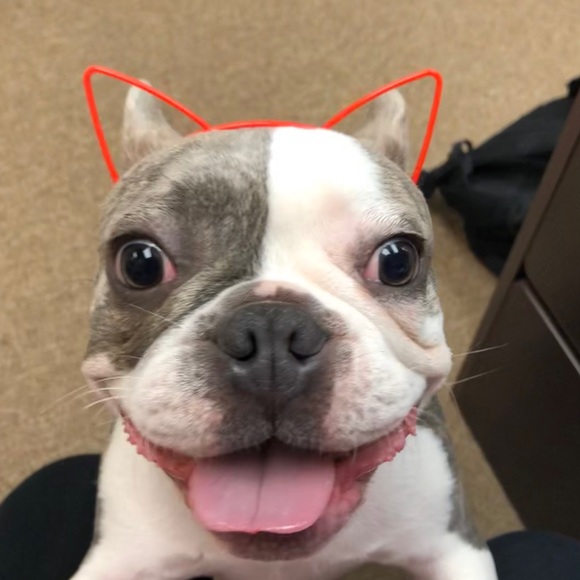 Meet your Posher, Mercedes - Picture 1 of 1